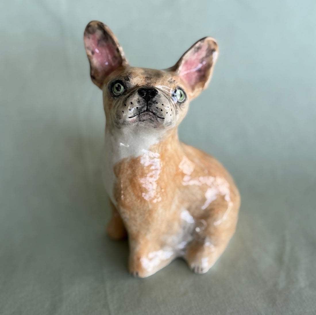 Darla the Frenchie