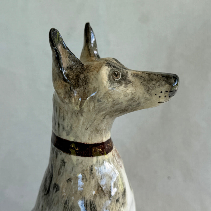 Lily the Alsatian X