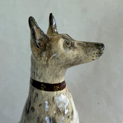 Lily the Alsatian X