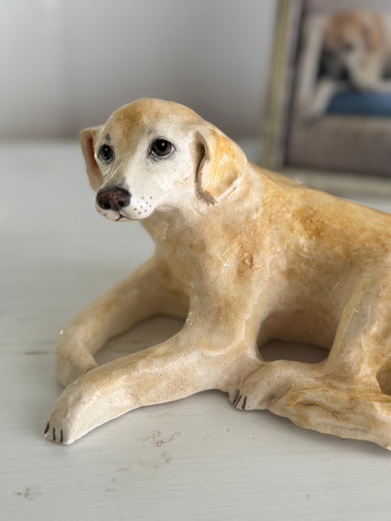 Beloved Labrador