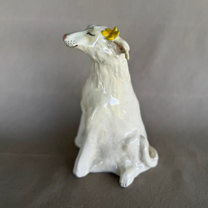 Dandelion Dog