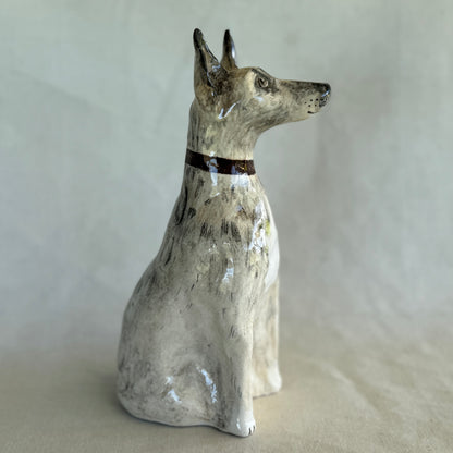 Lily the Alsatian X