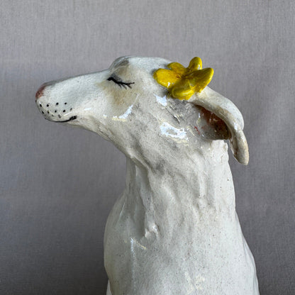 Dandelion Dog