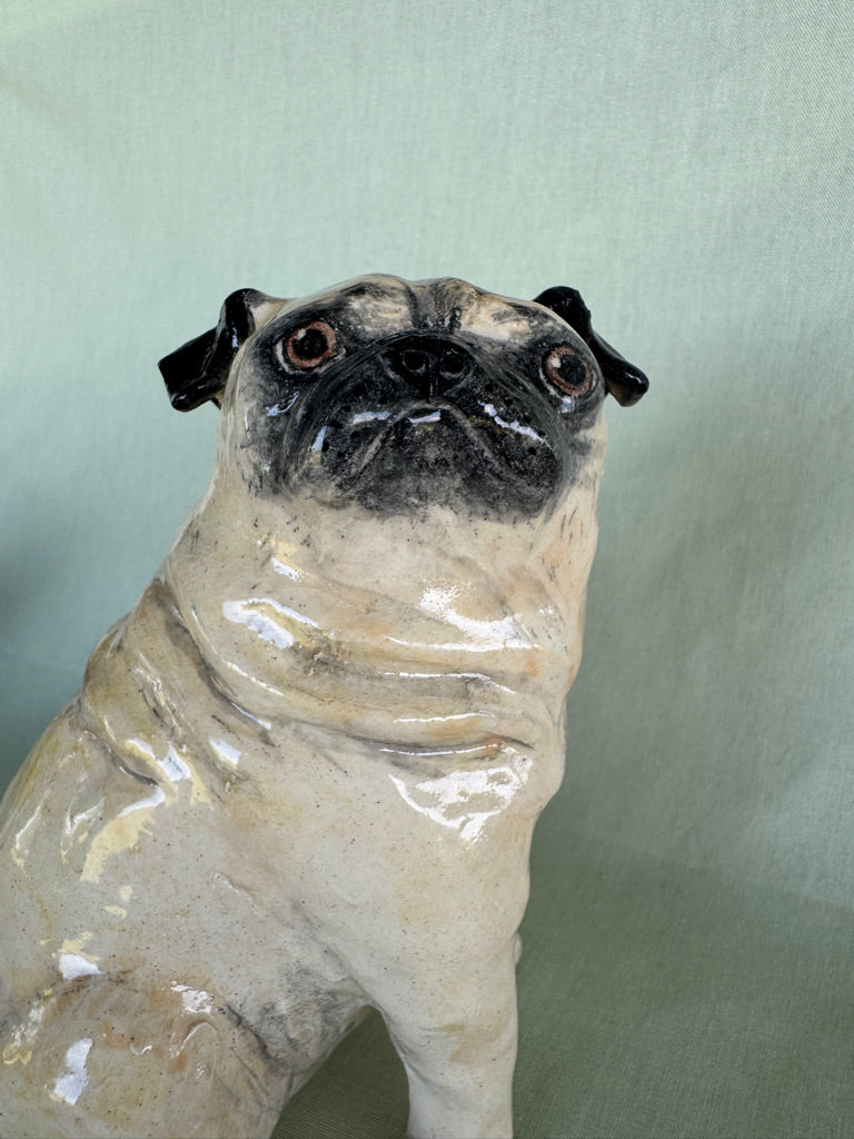 Birthday Pug