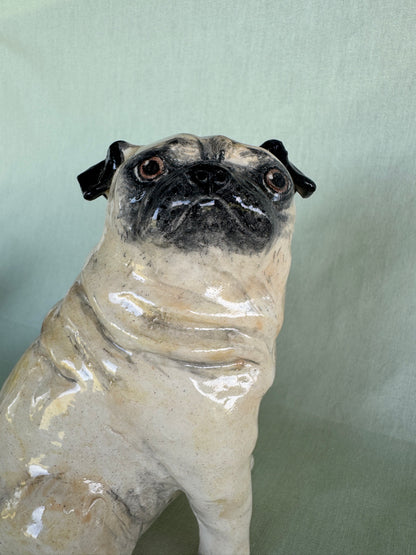 Birthday Pug