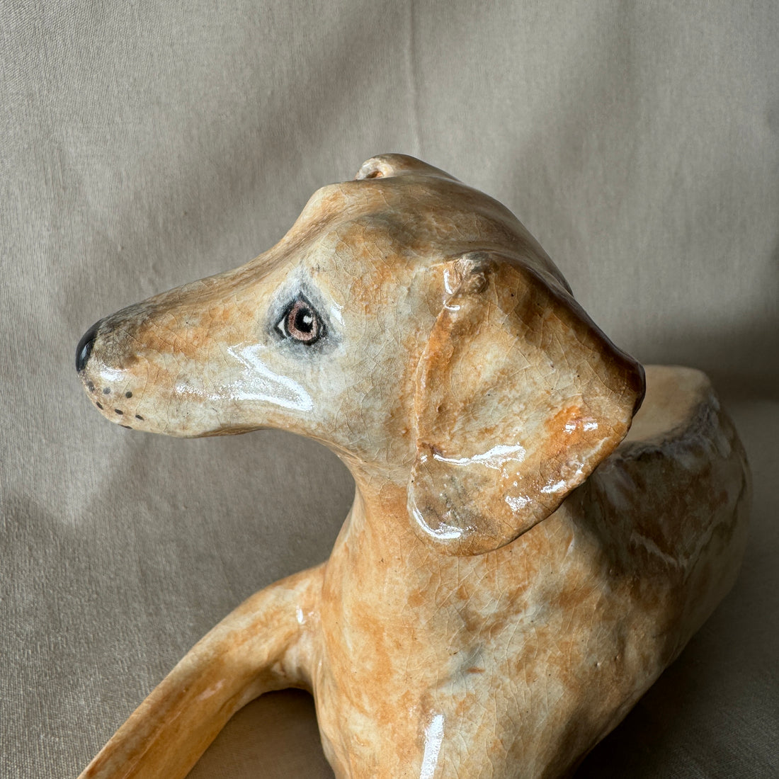 A Ridgeback
