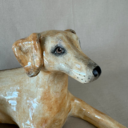 A Ridgeback