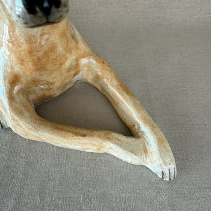 A Ridgeback