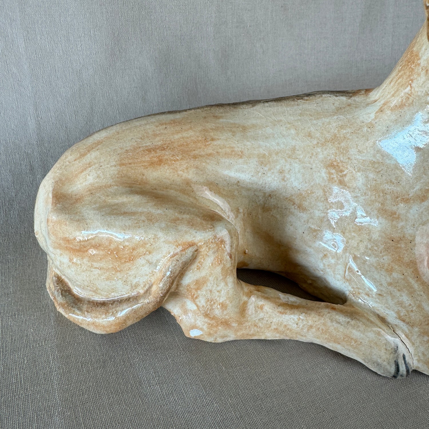 A Ridgeback