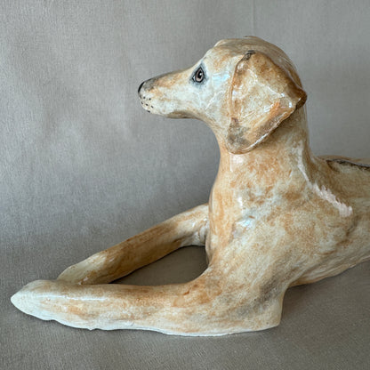 A Ridgeback