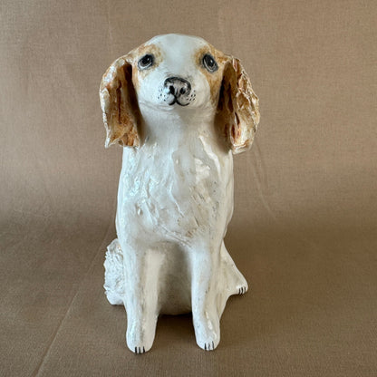 Archie the Spaniel